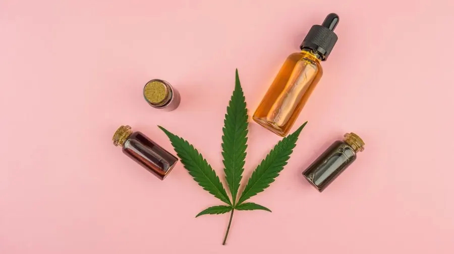 CBD and Holistic Health: A Deep Dive into the Therapeutic Potential